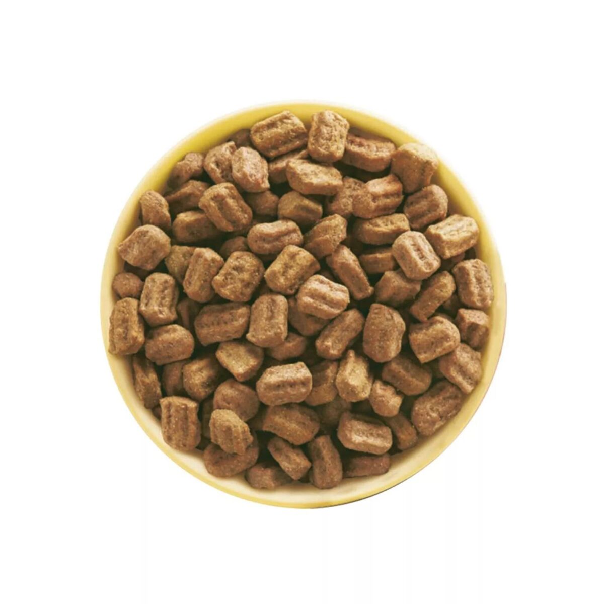 9 kg Pedigree Comple c3f6bea6c0d9e0f43115623ac9ab39da