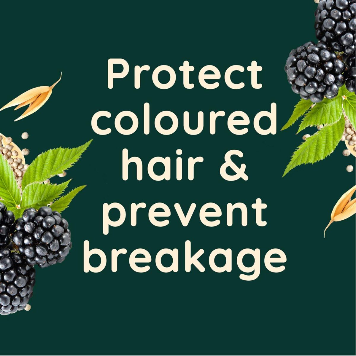 Aveeno Colour Protec 7f458f2b9c6fc15bf418ca2aa3e5ca22