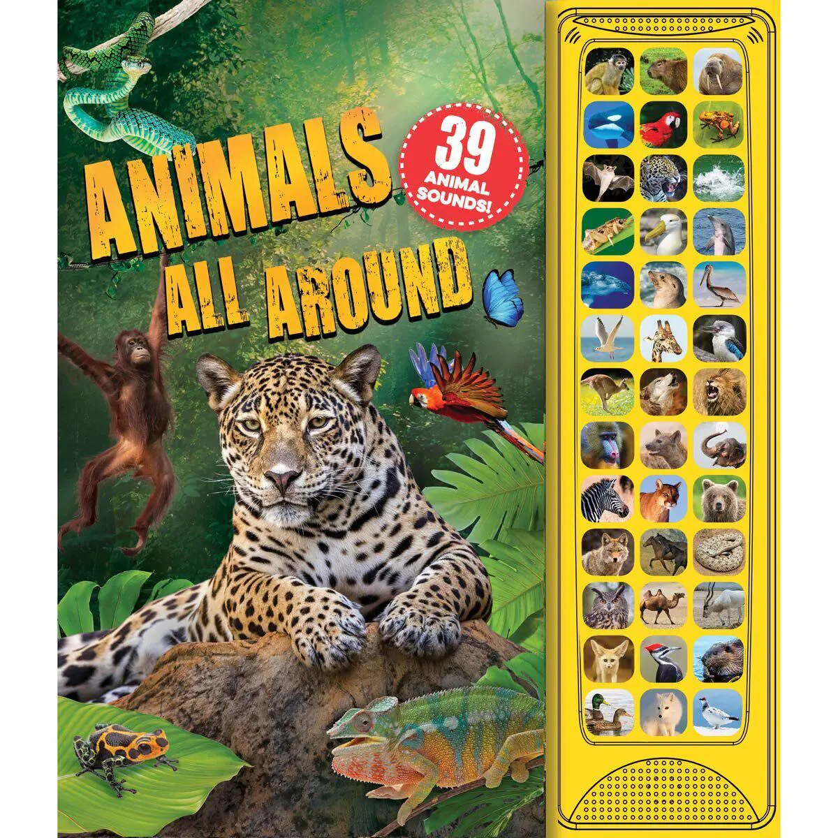39 Sounds Book Assor cf651716bcbf3508ba2228a89f1e978f