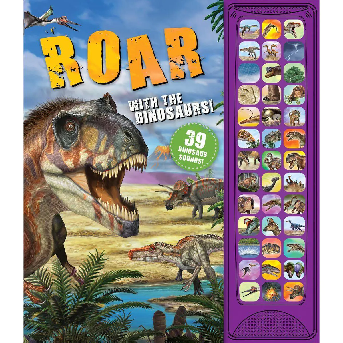 39 Sounds Book Assor e8382b92a7908428a1f784d1039456b2
