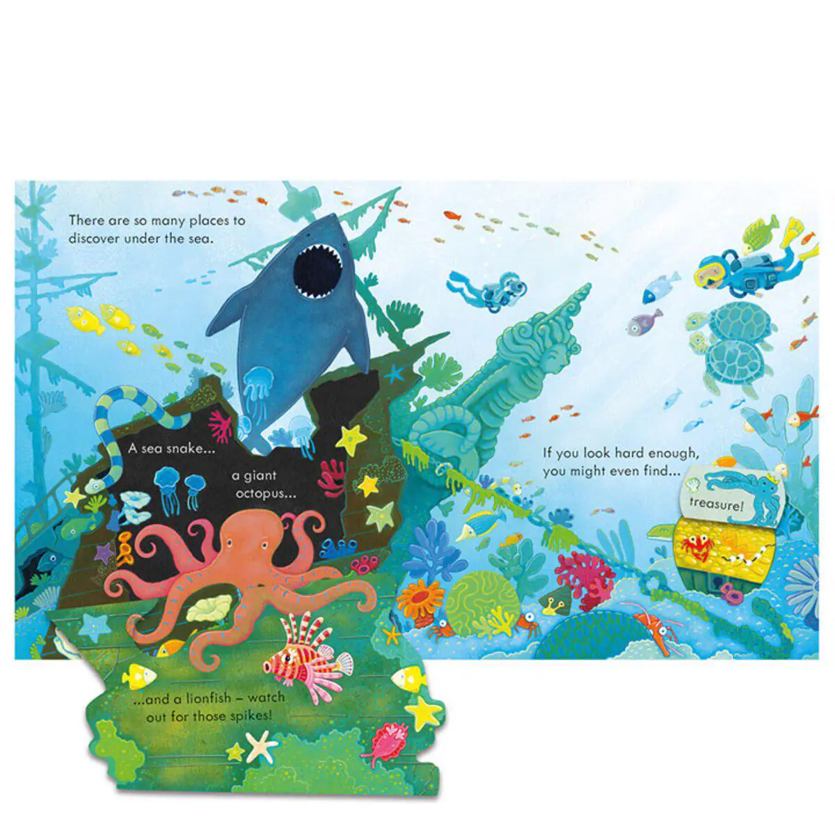 Peep Inside 4 Book C 80686dcef65c1732351592ff3c0ba629