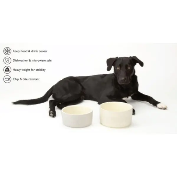 Scruffs Dog Food and Water Bowl Set