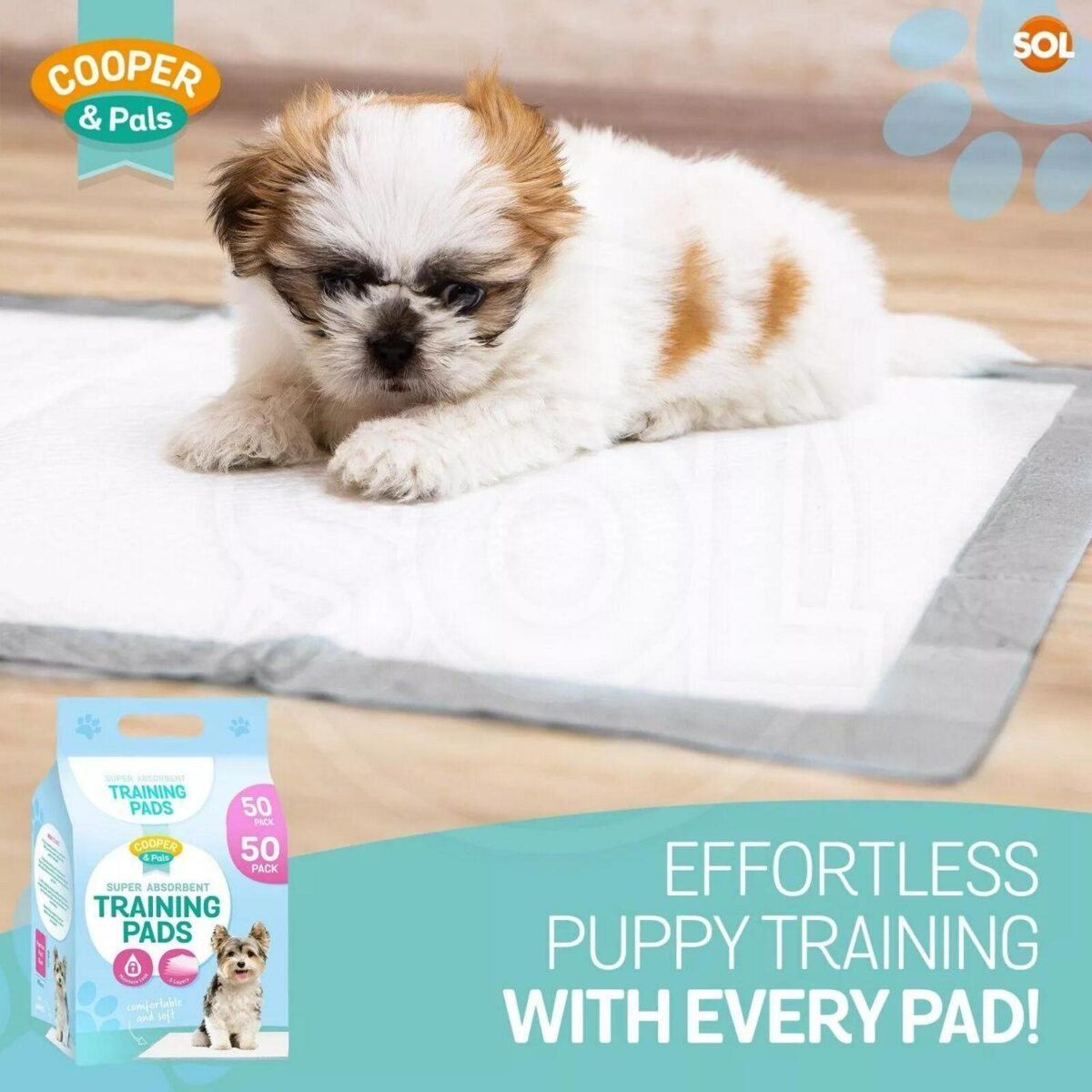 100 400 Puppy Traini 04c2dd1f6cfab97355085ddf288dddd2