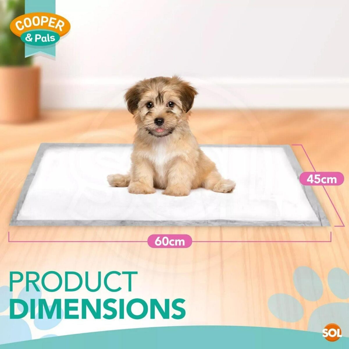 100 400 Puppy Traini 0a0d8c82e0e8445147c5fa76c8a29cd5