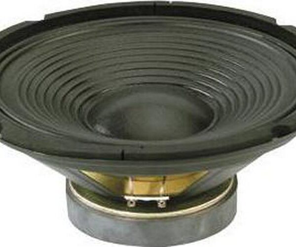 10  Bass Speaker Driver, 150W RMS-