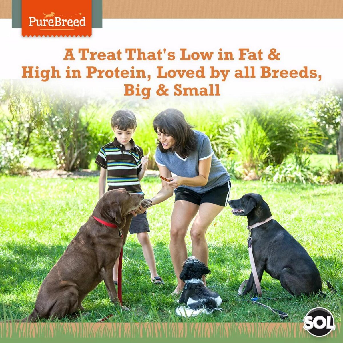 10pk Dog Chews Treat 3de1be8a1468666556859e9ac460f4fd