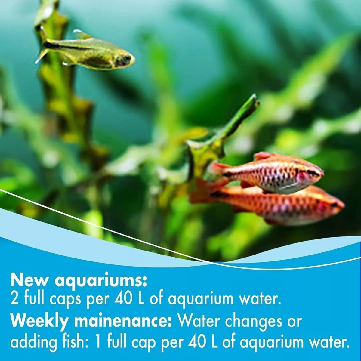 118ml Aquarian Weekl 46931af52a97ead818f1c9404da52b42