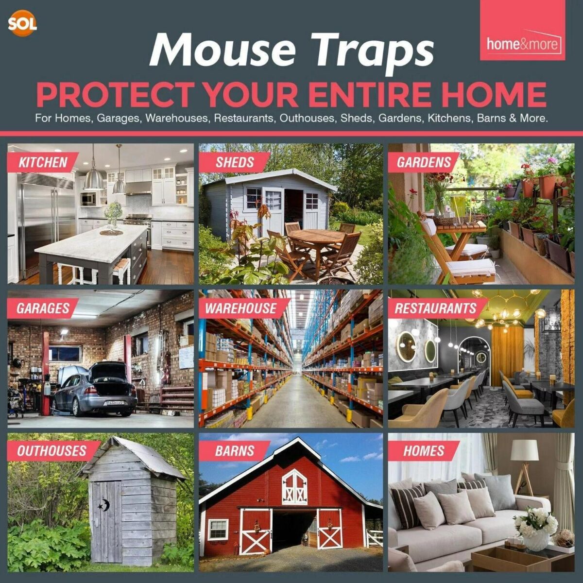 12 18 Mouse Traps He 02274447b824e59dad172f59cd1df7c2