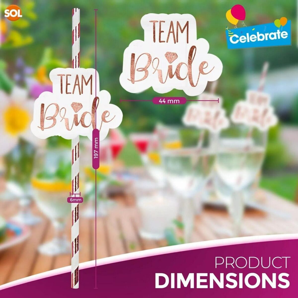12 48 Team Bride Hen 066161d7234da8ec3bd4f915ad8c377d