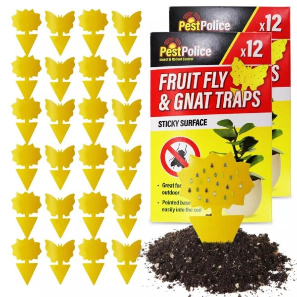 12 48pk Sticky Fruit 1ac7fdcb44193e525b406d009423c934