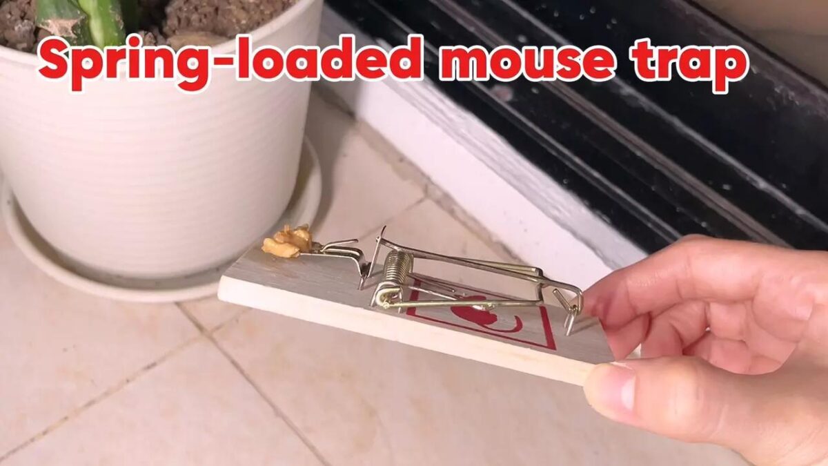 16 24pk Wooden Mouse 7c38d8b0dc16a8ee4e43968d2120baa3