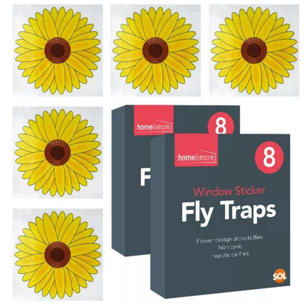 16pk Fly Trap Window 8e6cb07851a8cc65af9151e024f0fdae