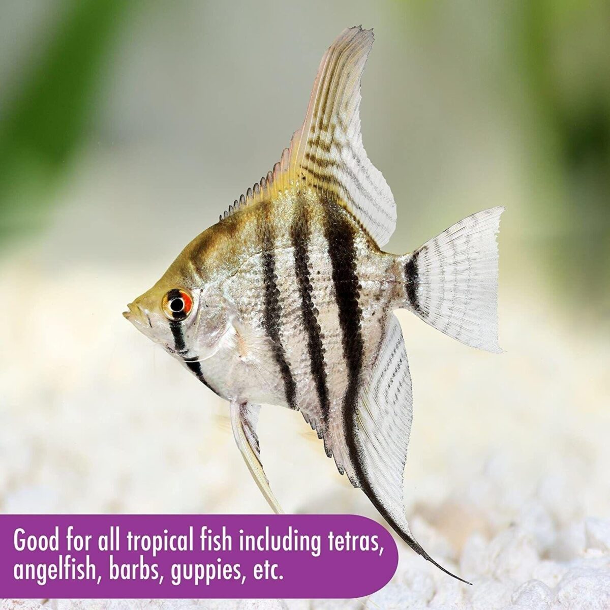 25g Aquarian Tropica c98e83b23f2568bd55433667815d5851
