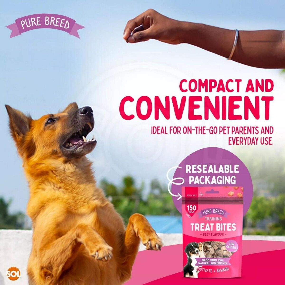 2 12PK Chicken Bites 02ea5818f143173cea7173385055a37a