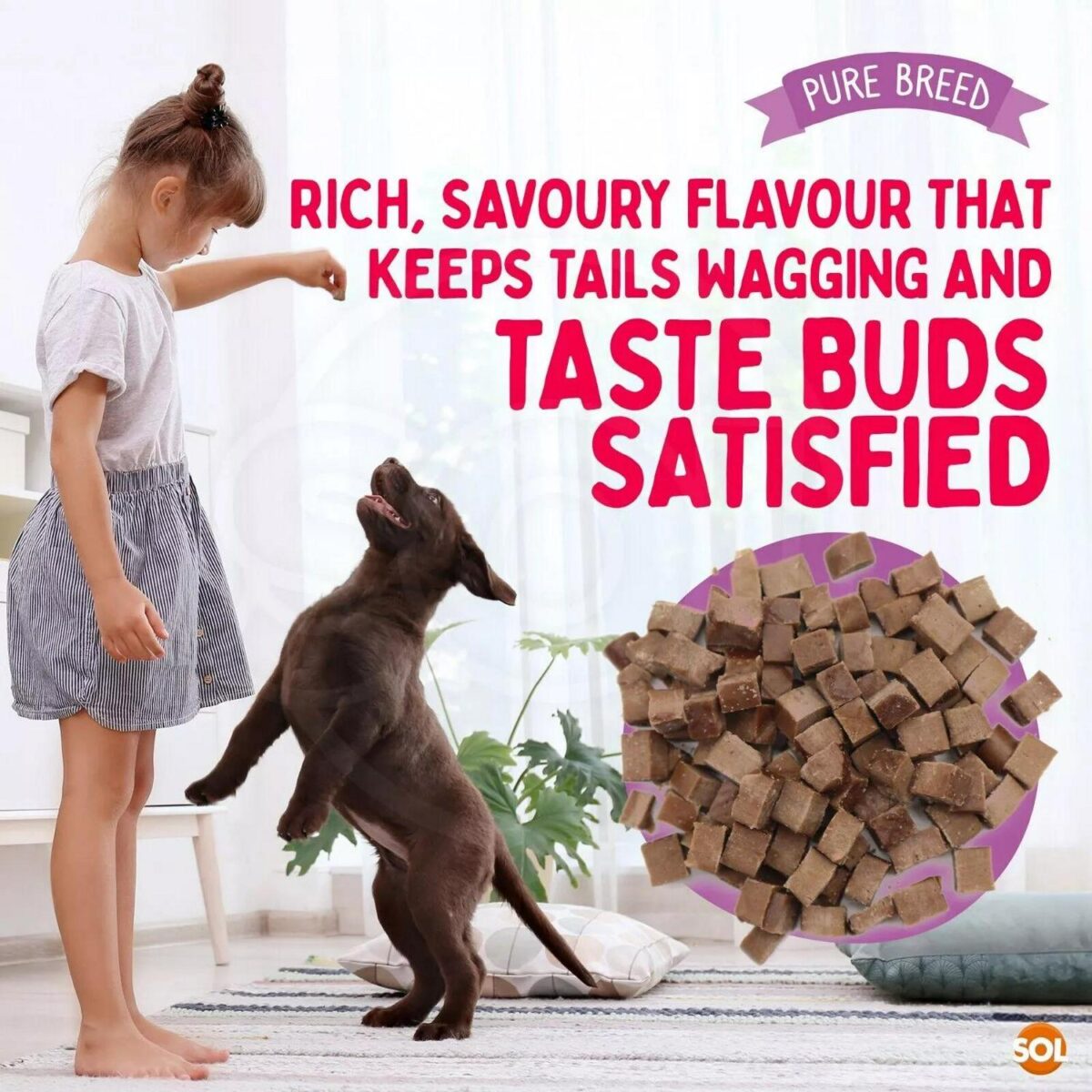 2 12PK Chicken Bites 0a6000aafa0ab0842e8c3d46b906e24b