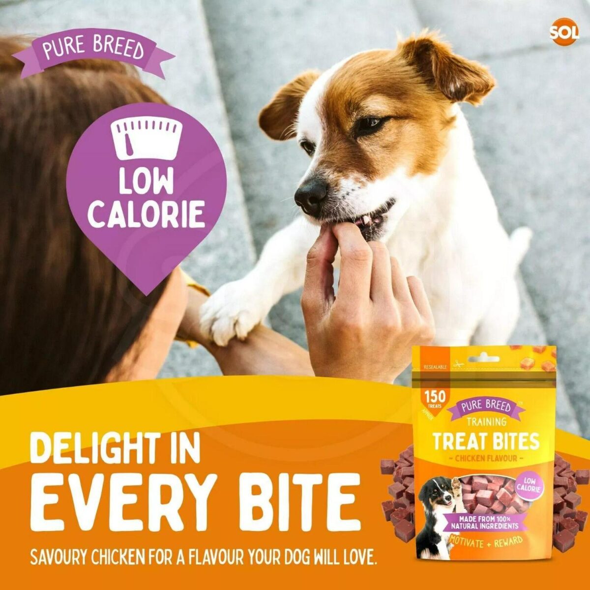 2 12PK Chicken Bites 8f7ca407b20dd650d454928f85f2be87