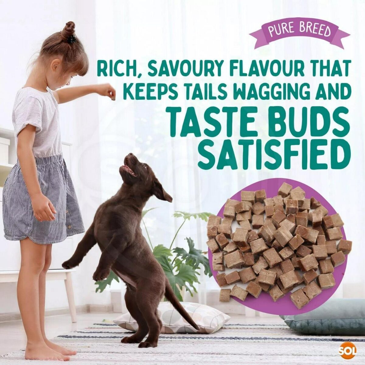 2 12PK Chicken Bites b2f274161096bf744e4020fbda369f4b