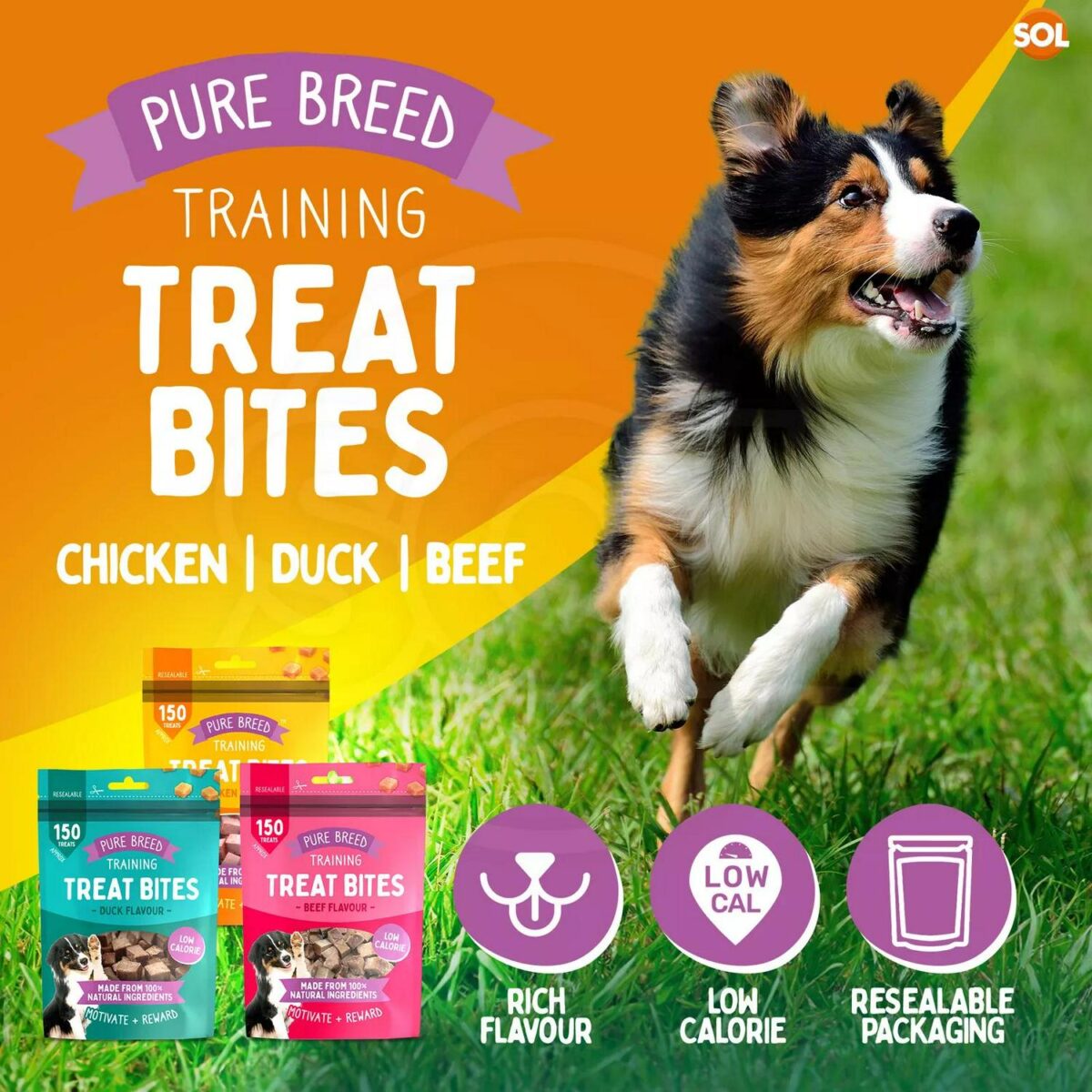 2 12PK Chicken Bites c99f4fd86970ac5dd941965d281cfe63
