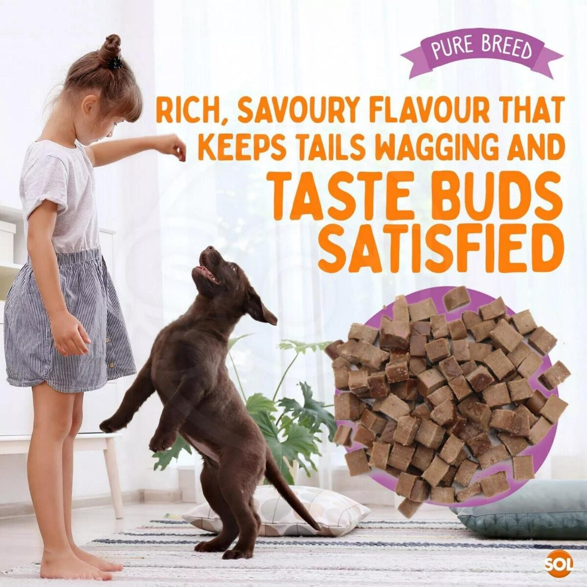 2 12PK Chicken Bites df9215b2d56dec6f6719c625b2bc63c5