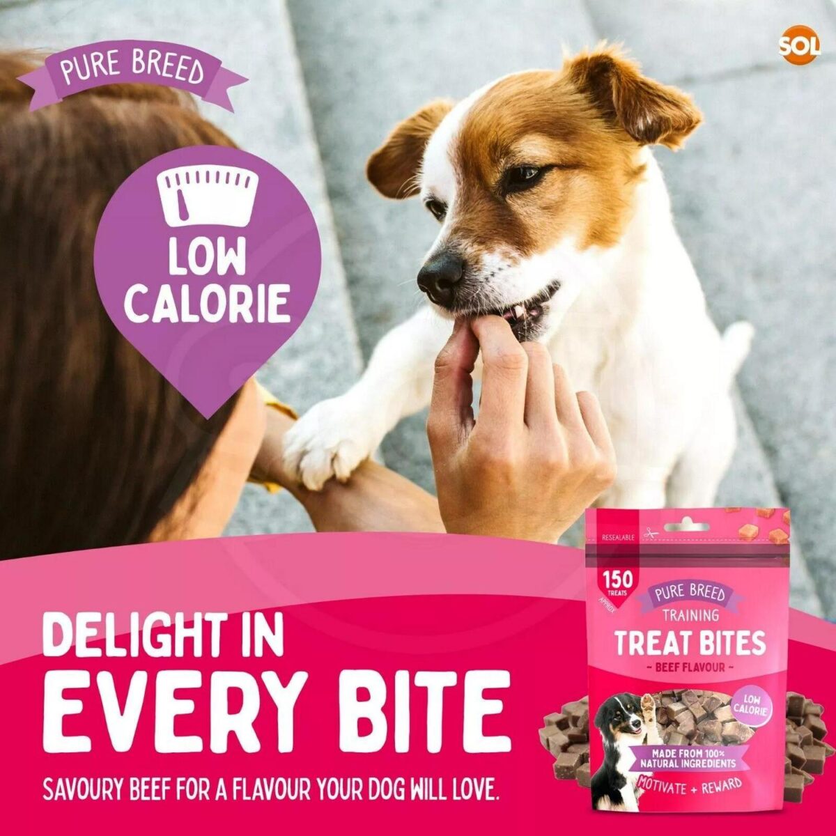 2 12PK Chicken Bites e713366831aa37d3cb032478ad06d4c8