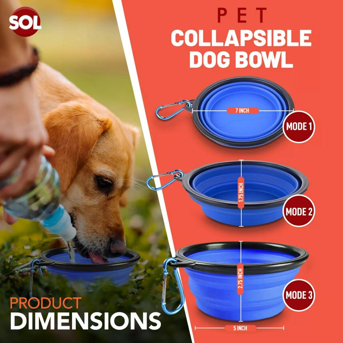 2 Collapsible Dog Bo 4981ba23274f0eaa9282a194bf4b88fe