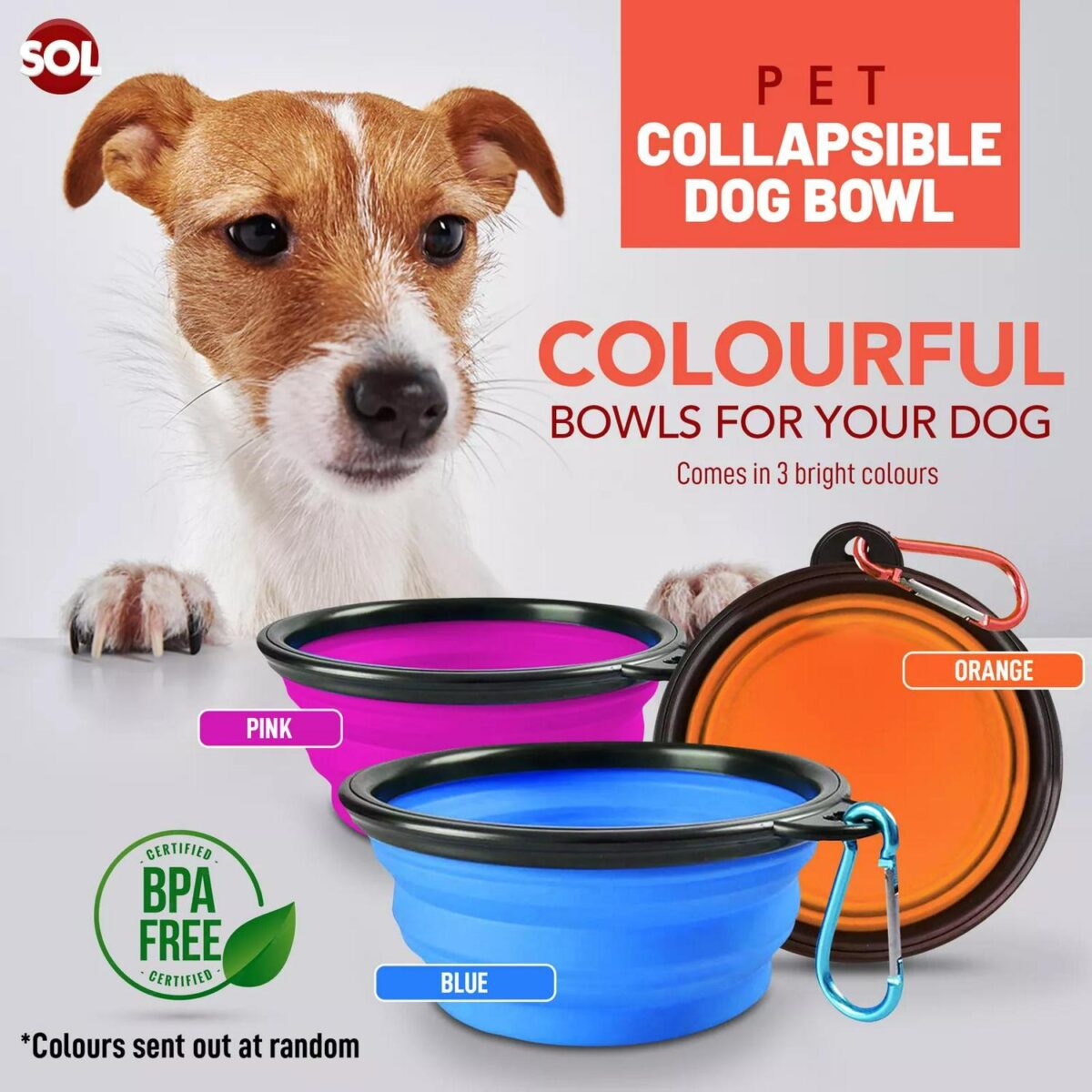 2 Collapsible Dog Bo ae17b38bd69e3a0a739b306367b7afe9
