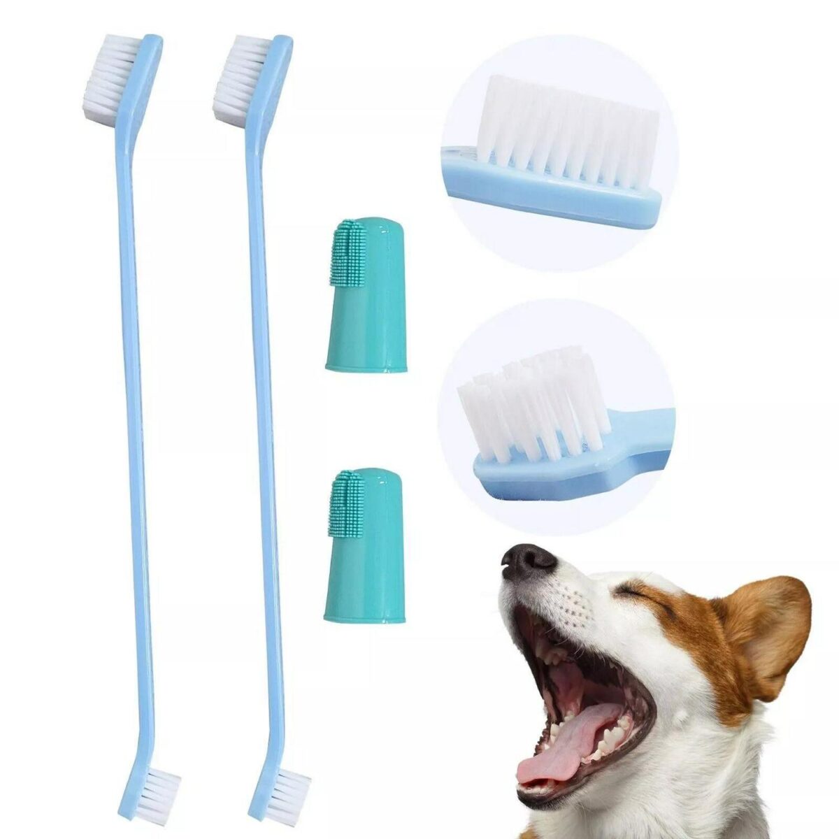 2 Dog Toothbrush Fin 09d404af81c061f994d1cb116ae052ba