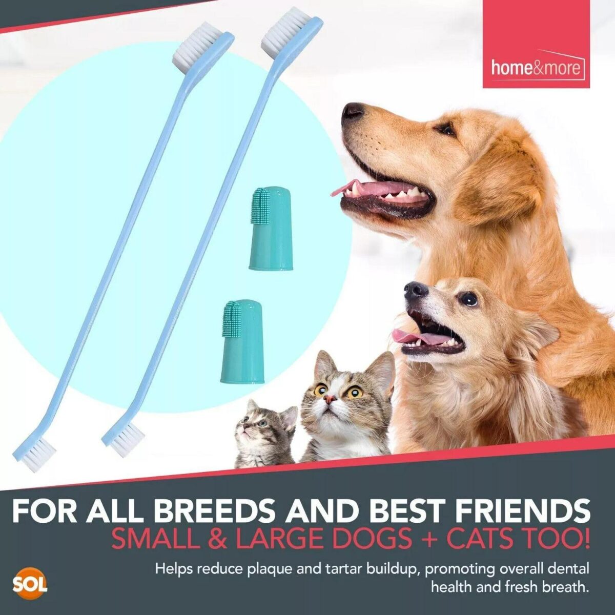 2 Dog Toothbrush Fin 32b3faed4dff158cf742240da488a702
