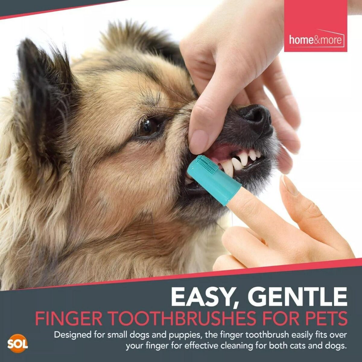 2 Dog Toothbrush Fin bae8eab111de6af43e7e7508da5126d0