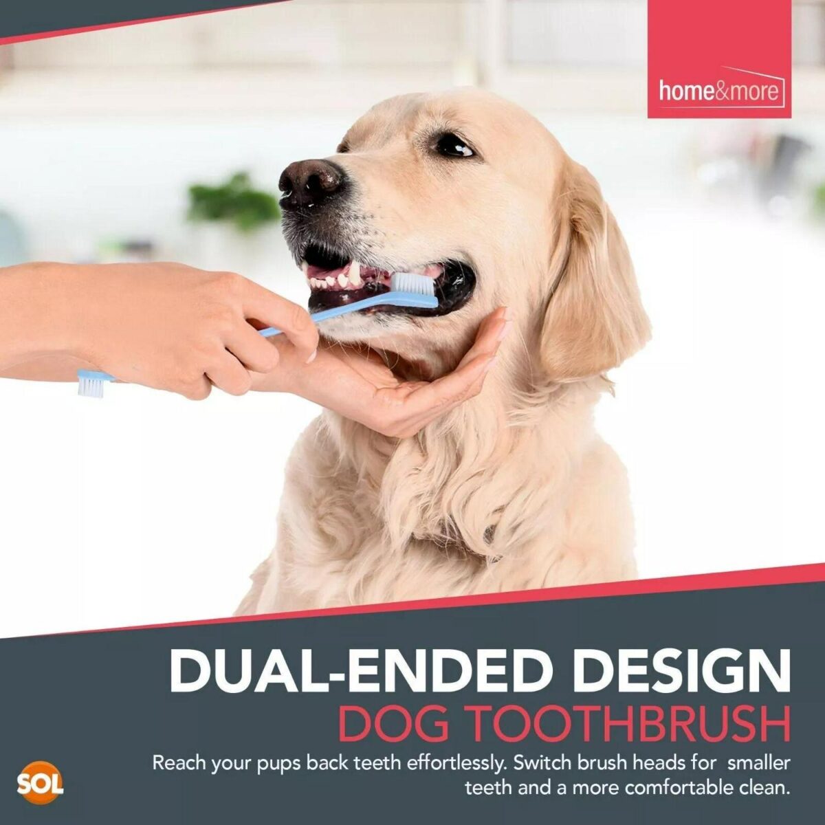 2 Dog Toothbrush Fin ee5070eb18fc2e399271c65fcdc38193