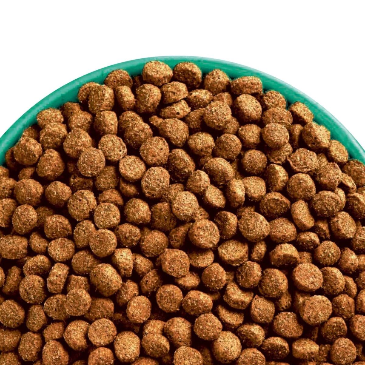 2kg James Wellbelove 01afa70ae00c4bb53dcad00ce1c80d53