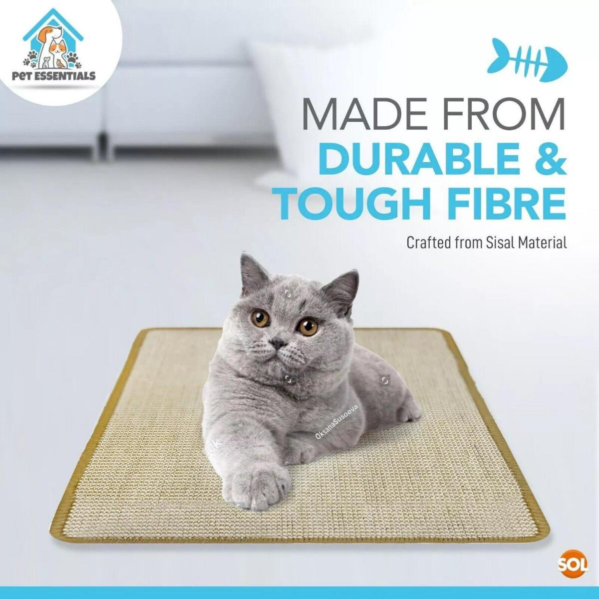 2pk Cat Scratching M 09b4b5bed56a19898da9f3ddf5c1362a