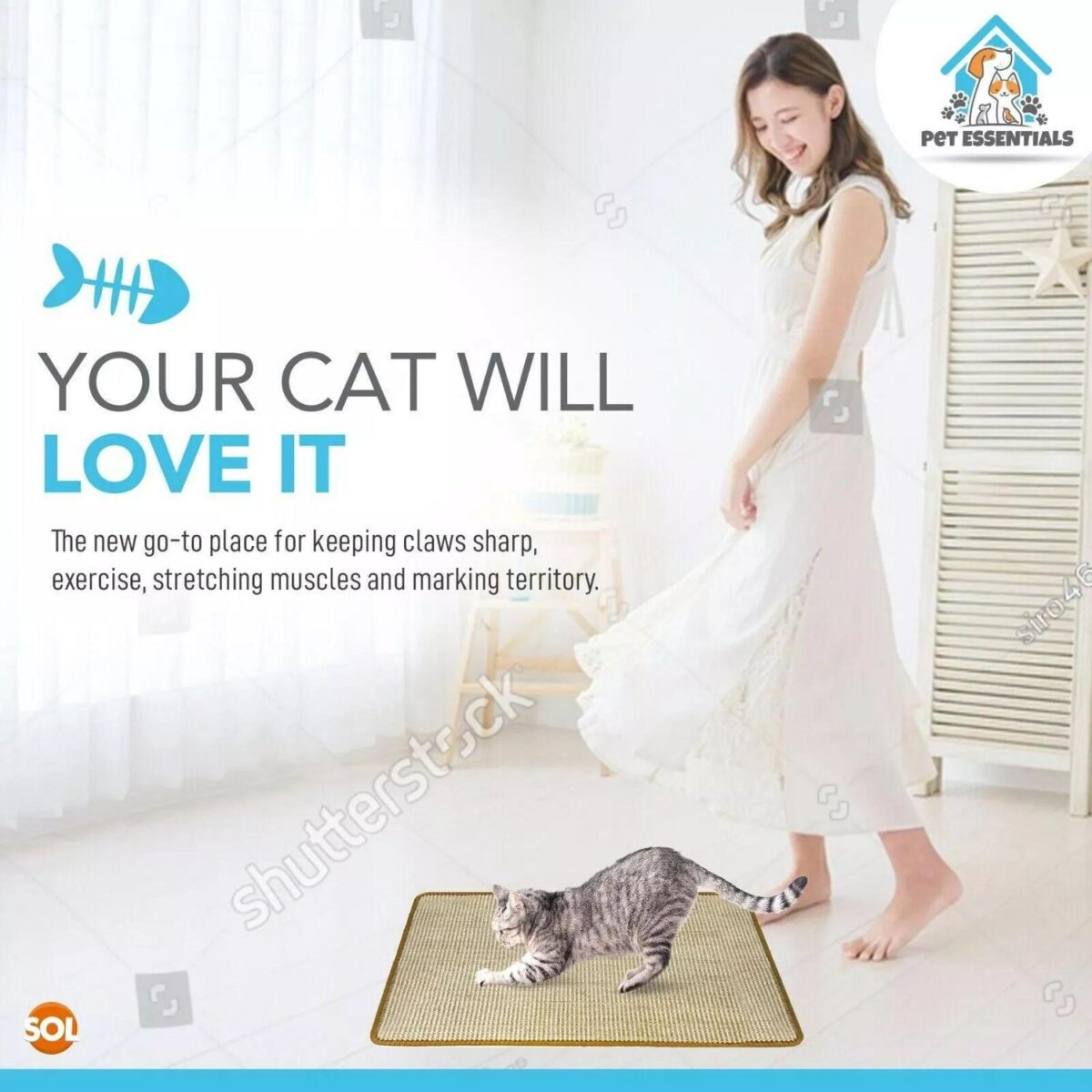 2pk Cat Scratching M 21344655ec36df808cf3c2330027931d