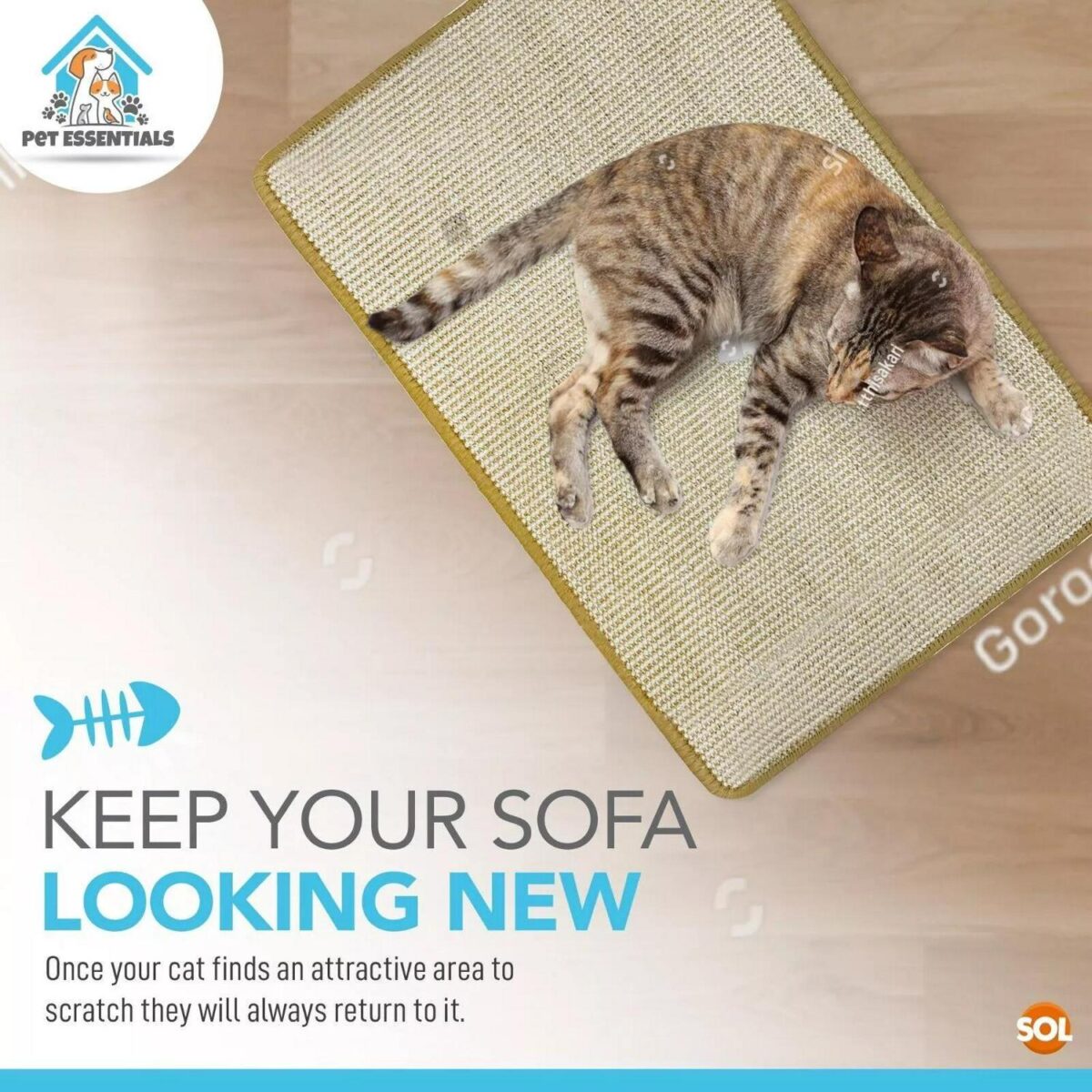 2pk Cat Scratching M 6c45c9c5217b9533f69913cda576b5db