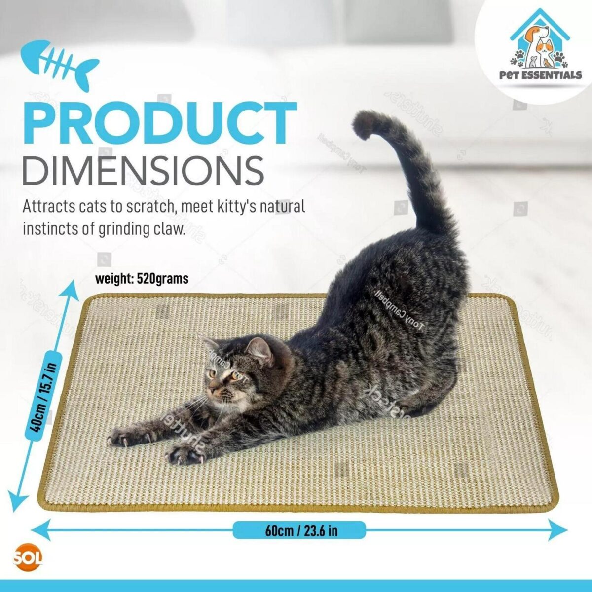 2pk Cat Scratching M ad289875dfcac3aa47fc155c66238187