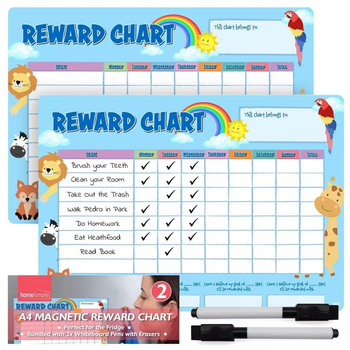 2pk Magnetic Reward 1e99c32b2b2578bb03f2147993db876e