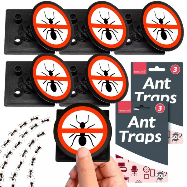 3pk 6pk Ant Trap Bai 5a9e3edb717242d31bb031995288ac58