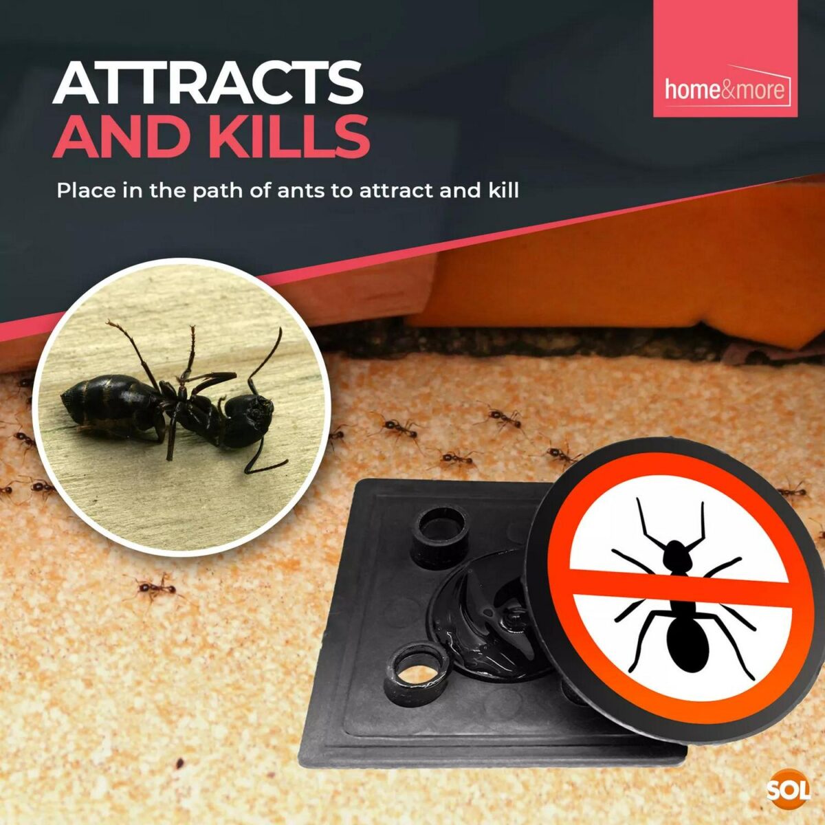 3pk 6pk Ant Trap Bai ad4da0940ea0d77bcdb33c44aaffcaa5