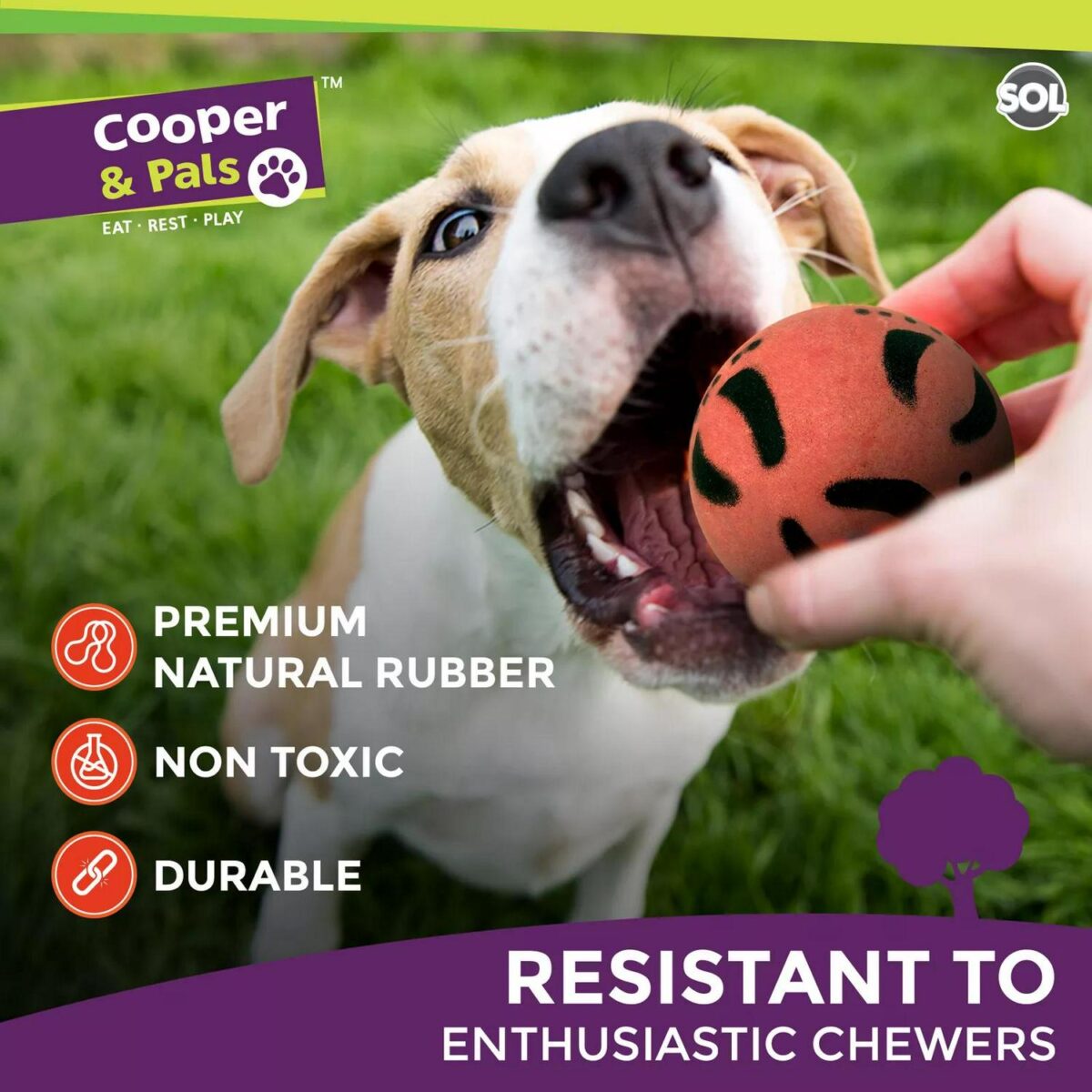 4pk Rubber Dog Balls 0754e7435cb3c19b5f26b10a2aa5133a