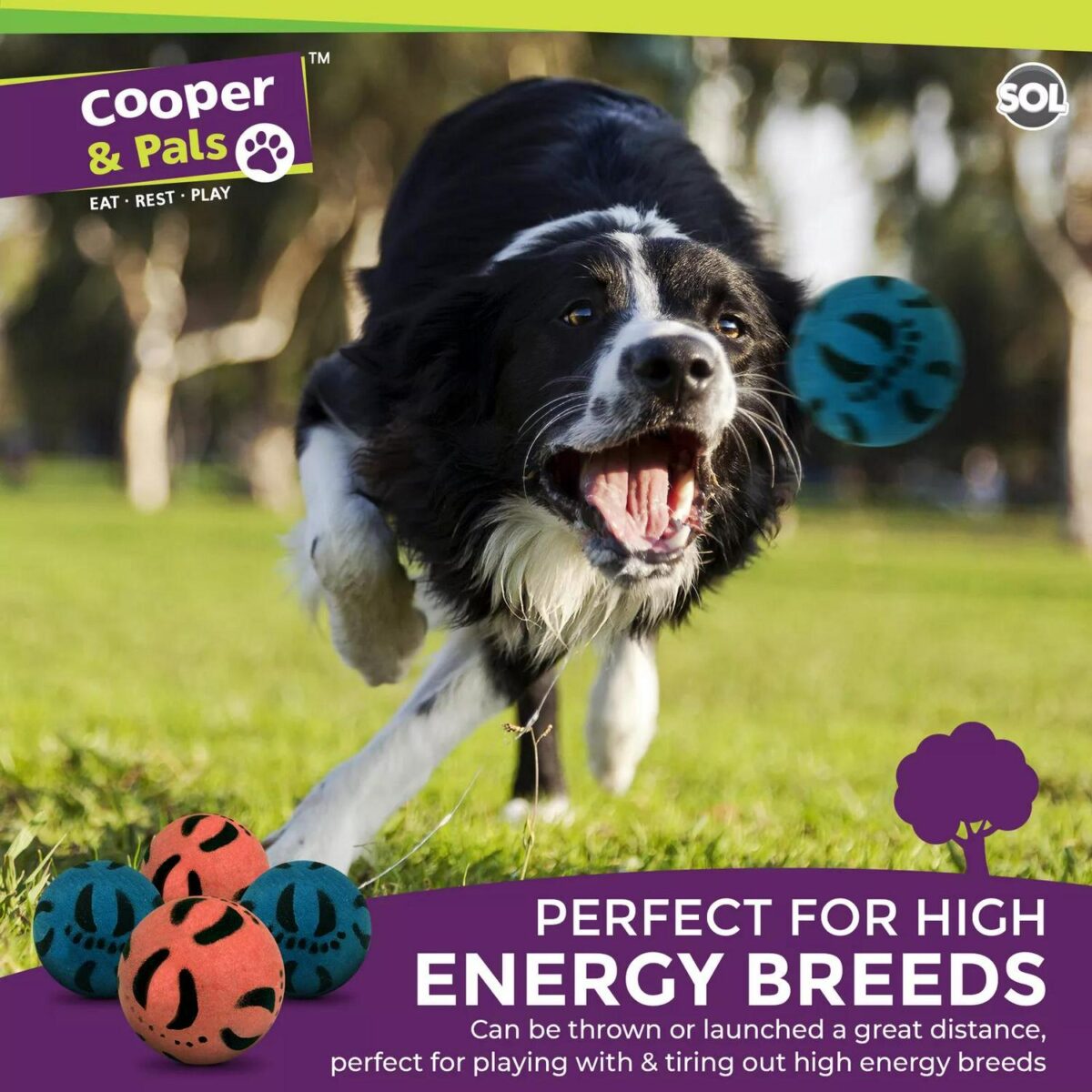 4pk Rubber Dog Balls 15dffa37e0f97fbdeea14c6cac2b5c66