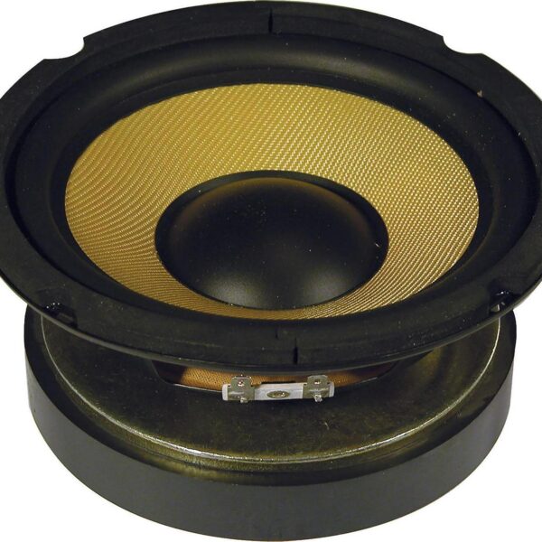 6 5 Woofer with Aram d178c6e278dba8eba1ebe049e6f34464