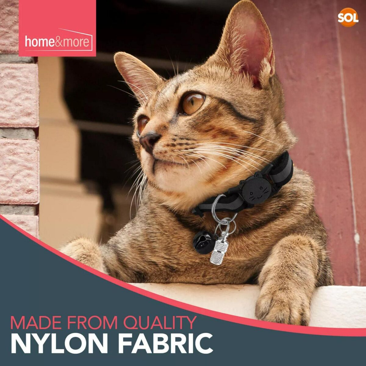 6 Reflective Cat Col 43c72e755f8ab953eed316772a2eedec