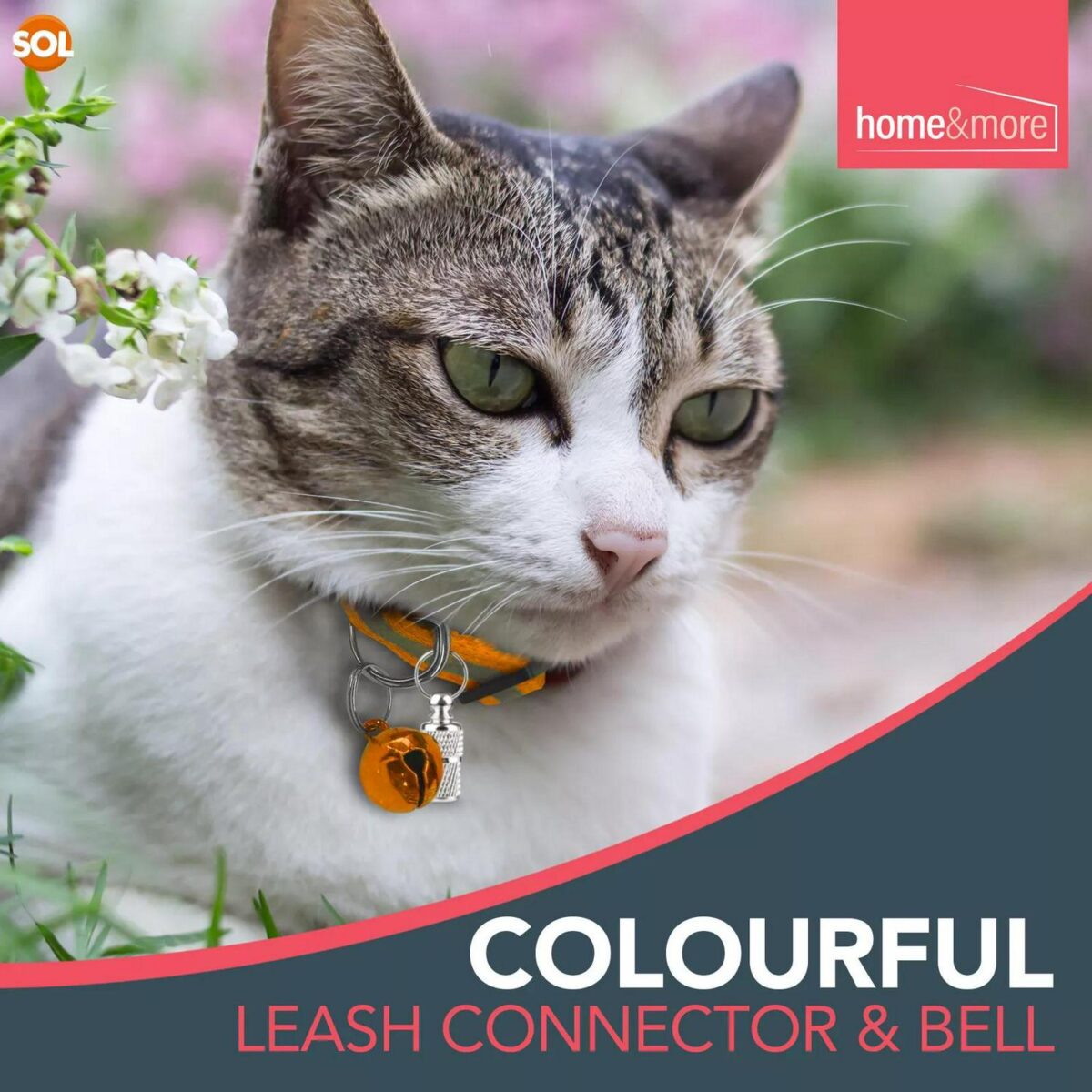 6 Reflective Cat Col 5309632f3280dc33699fdb4a9cfc6558