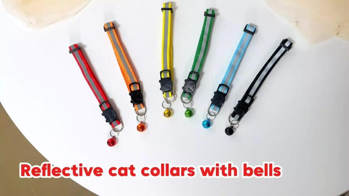 6 Reflective Cat Col 5a0d5ab321e7b766db81a86c566f2dfa