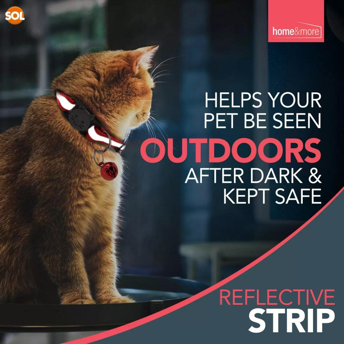 6 Reflective Cat Col 6186cf06e11af6646a8f5f1f038edbb0