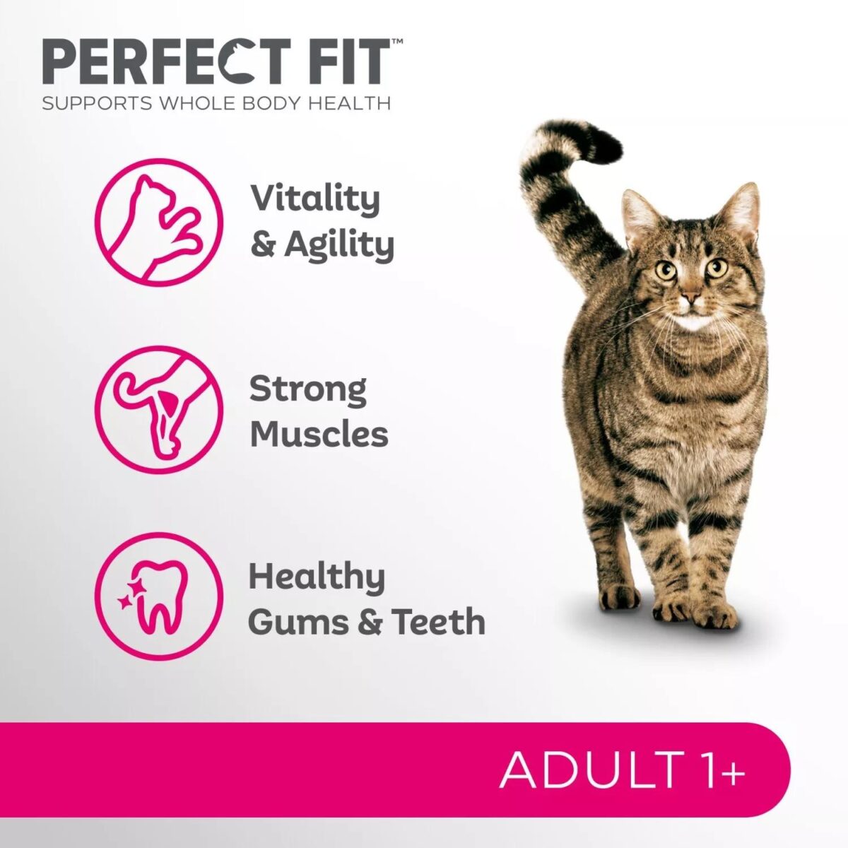 7kg Perfect Fit Adva ebb268598cc9e2bbe3526621e210db59