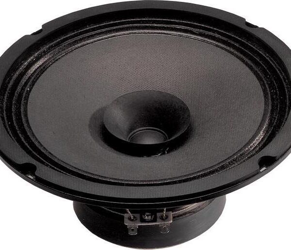 8 Full Range Speaker d19cb8742ec270360c6d597f816cd407