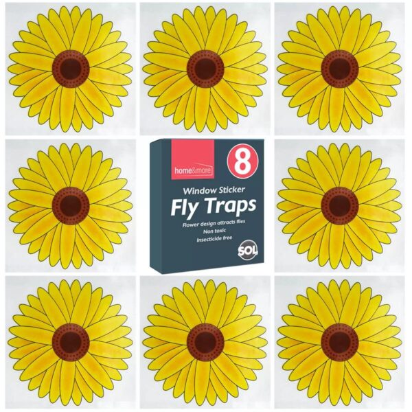 8pk Fly Trap Window fd439a0b1e2562dfb93e7e18bb87c398