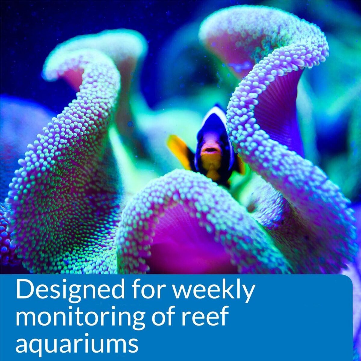 API Reef Master Test 1dd50113c5a422af18c4717a2890751f