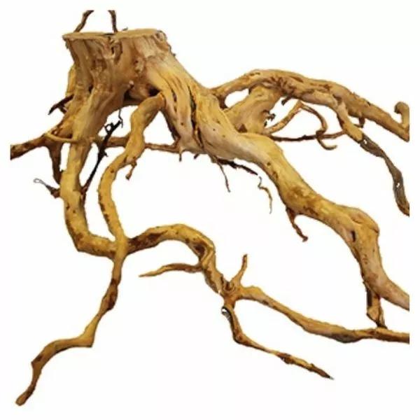 Azalea Root Natural 3a46c43c5ea96cde29a1e3af784b87c7